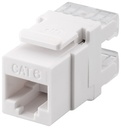 CAT6-runko RJ45 UTP lyhyt Keystone-moduuli valkoinen