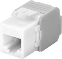 CAT6a-runko RJ45 UTP Keystone-moduuli valkoinen